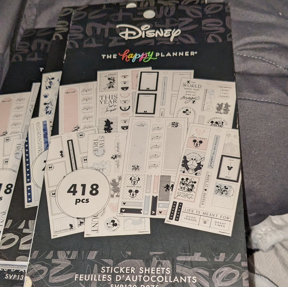 Used Mickey and Minnie Happy Planner Stick Books.